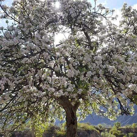 Hikal Guest House Karimabad  Εξωτερικό φωτογραφία