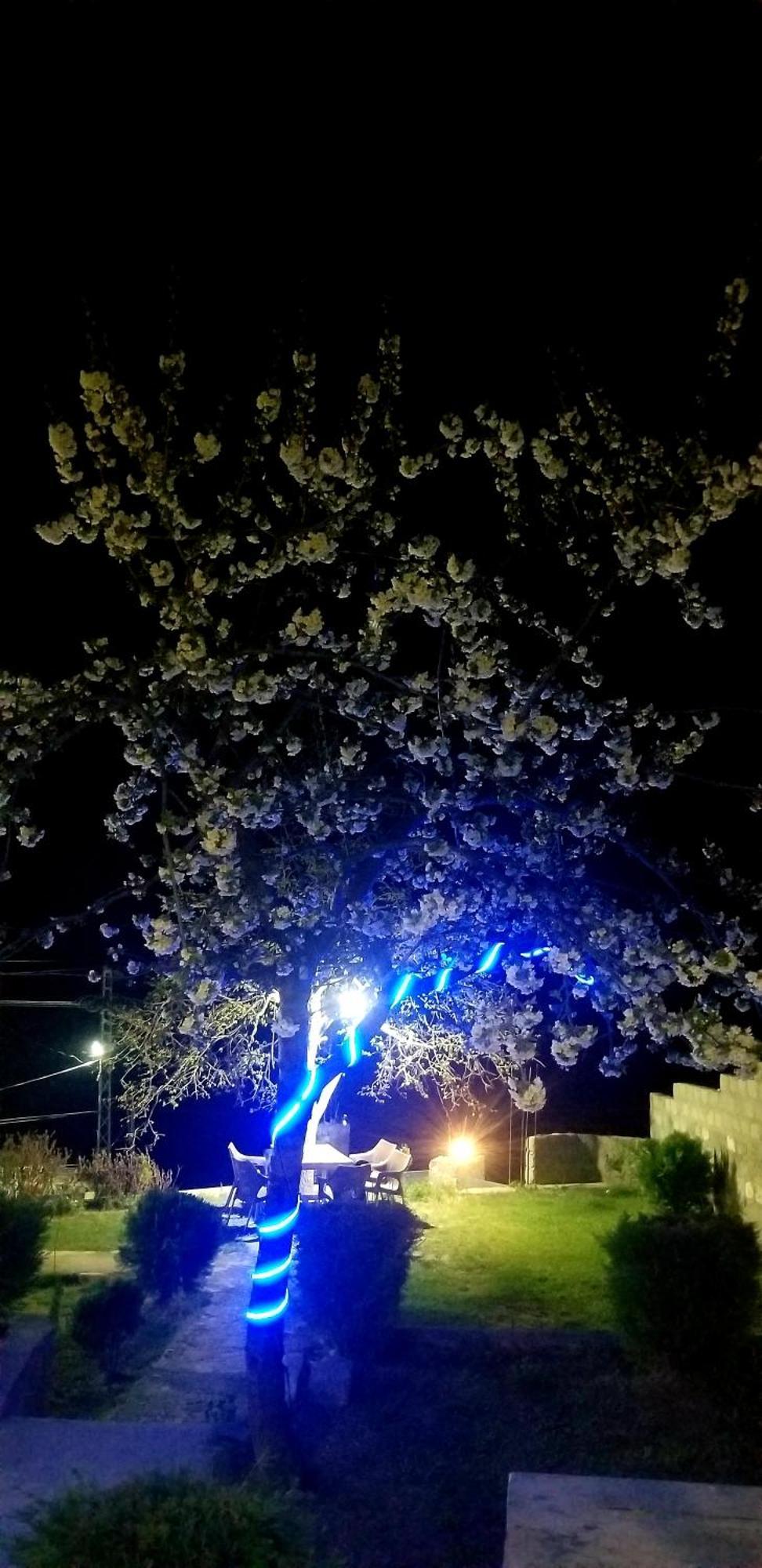 Hikal Guest House Karimabad  Εξωτερικό φωτογραφία